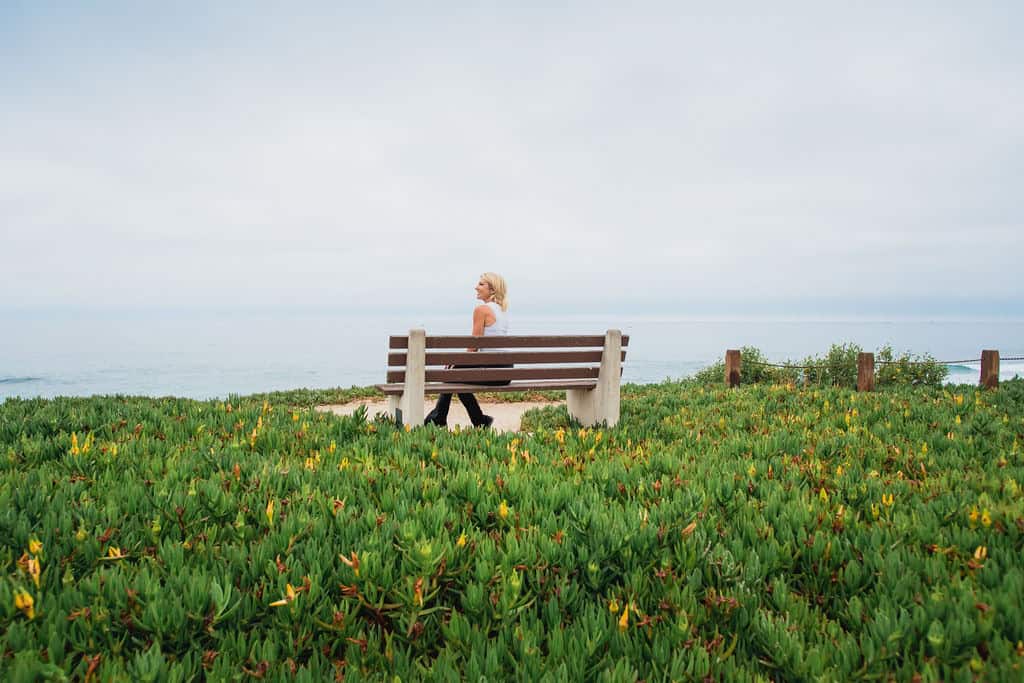 Wide coastal view of a bench on a green ice-plant bluff above the sea